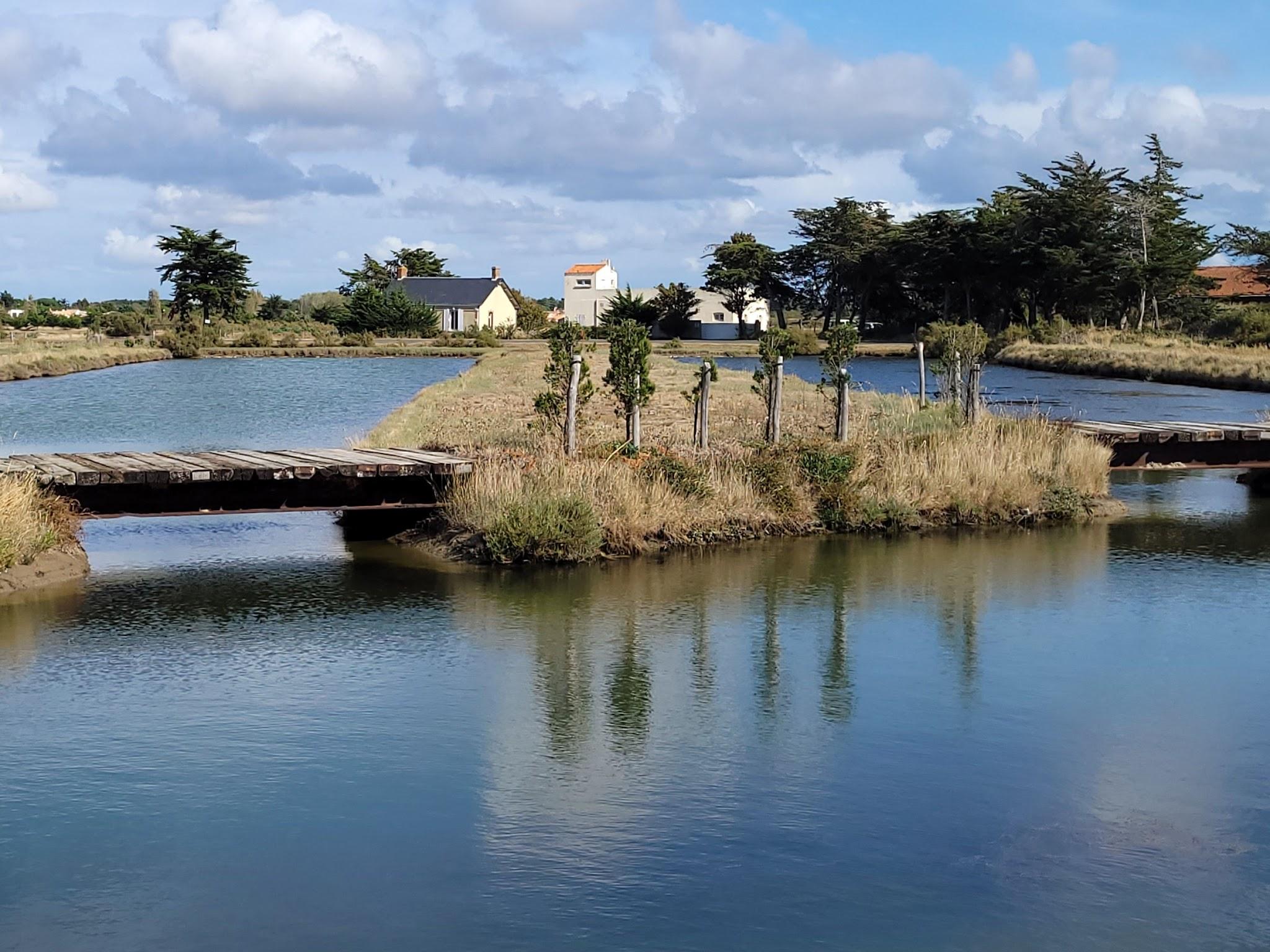 Paysage de marais vers La Gachère près de Brem-sur-Mer