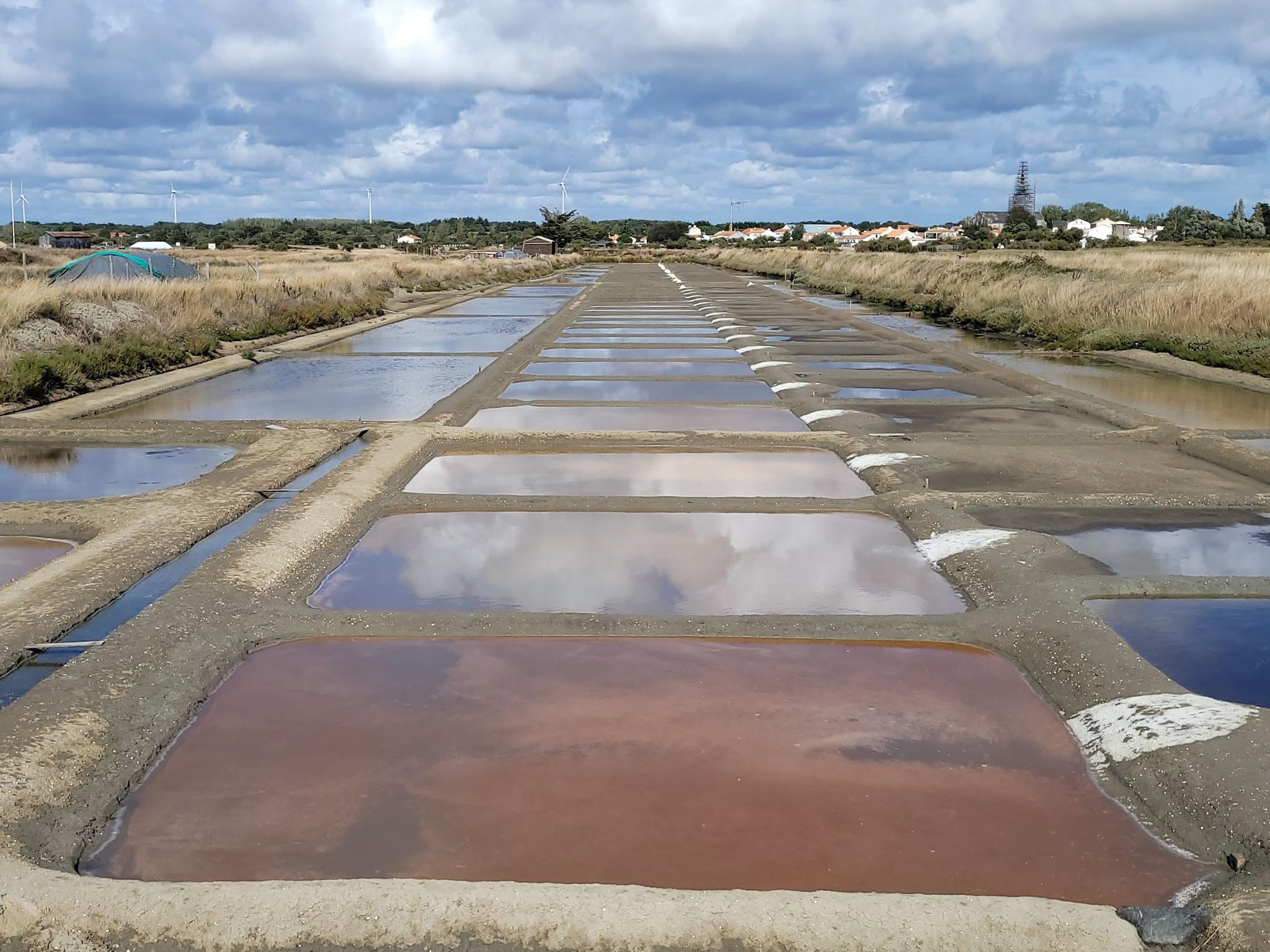 Marais salants près de Brem-sur-Mer en Vendée