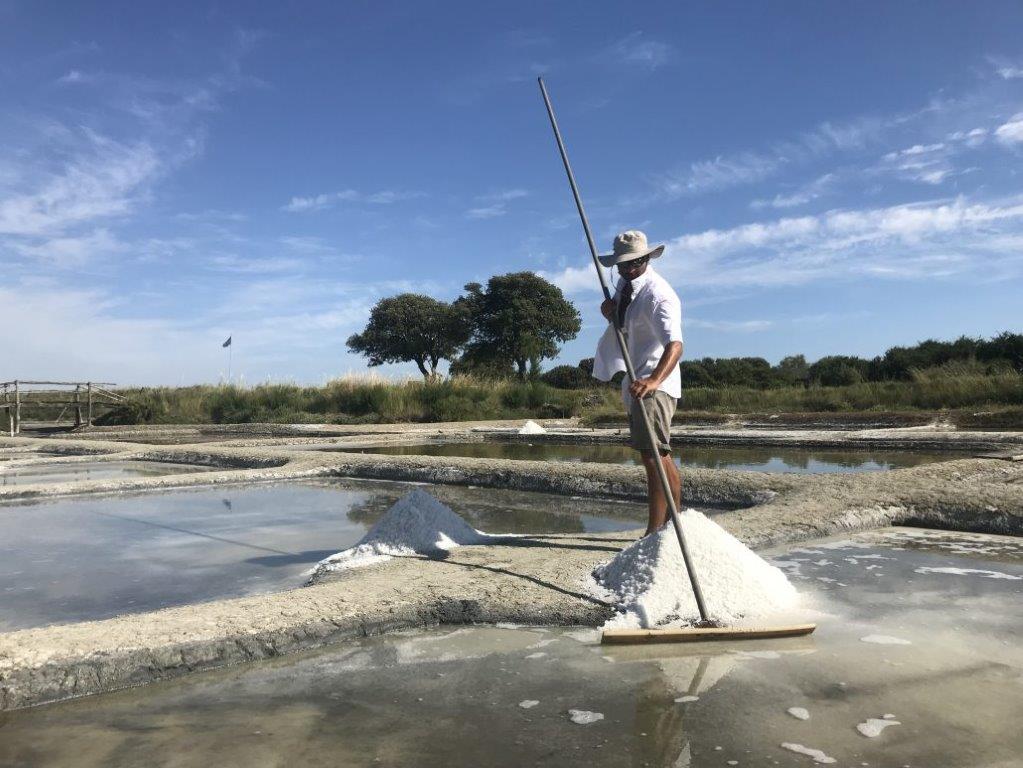 Statue près des marais salants en Vendée